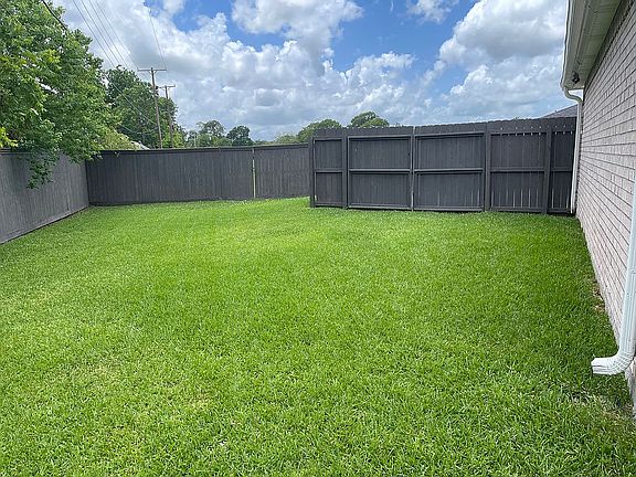 Backyard. 