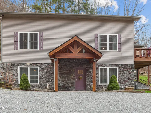 150 Rice Rd, Flag Pond, TN 37657