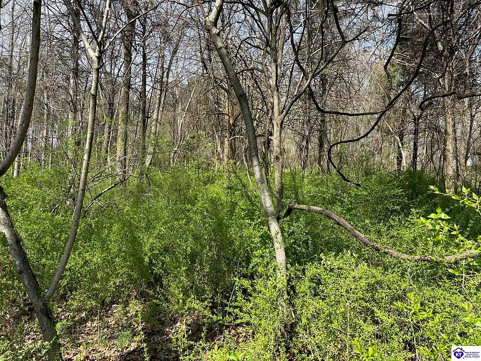 7211 Brandenburg Rd, Ekron, KY 40117 Zillow