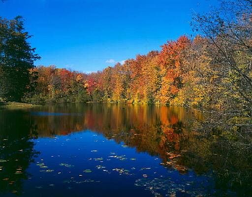 1st image of South Lake Drive