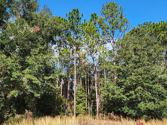 5th image of 2105 W Graywood Dr