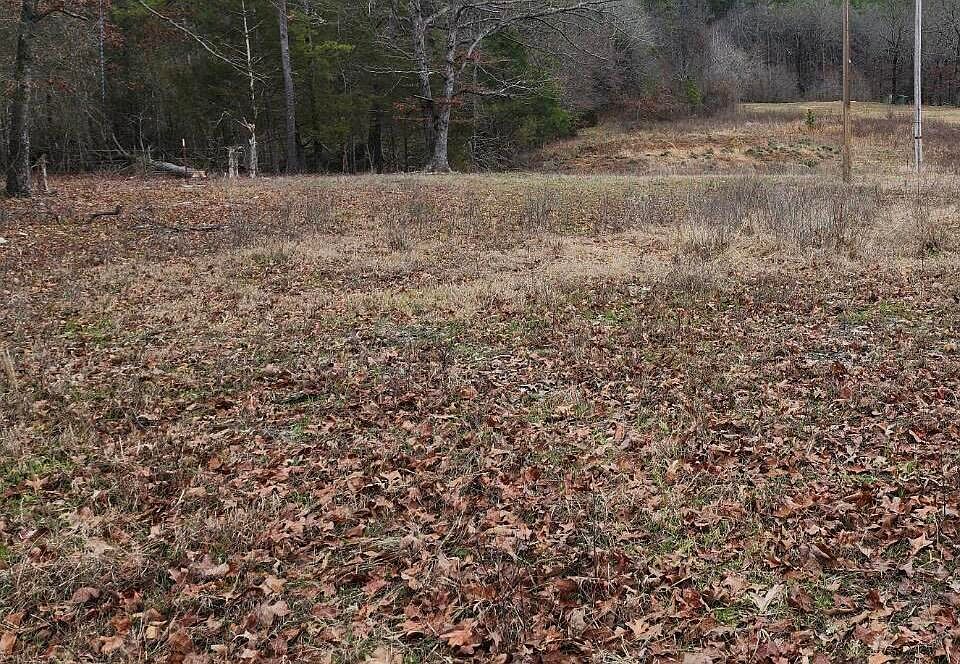 2nd image of 3610 Rushing Rd