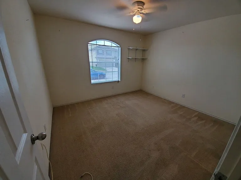 25714 Gold Yarrow — Photo 10