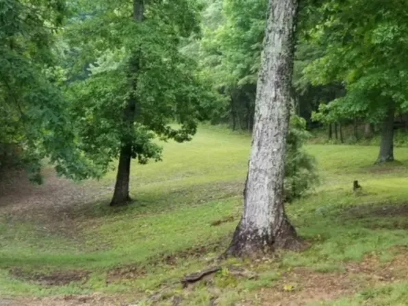 0 Rim Trl, Lewisburg, KY 42256