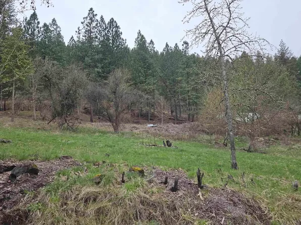 Pine St Lot 5, Peck, ID 83545