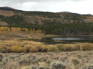 196 Empire Valley Dr, Leadville, CO 80461