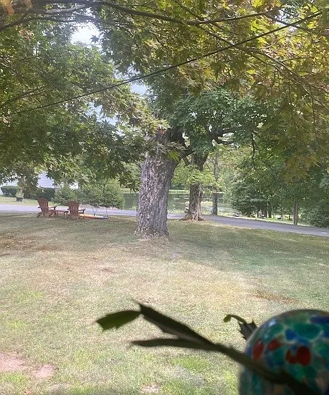 View from kitchen window. Lake view with geese. Adirondack chairs and swing on property.