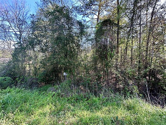 2nd image of LOT-77A Royal Lake Dr