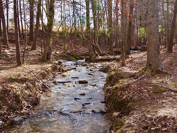 5th image of 271 Anderson Rd