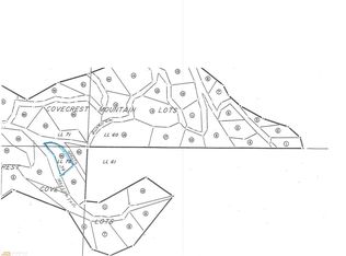 0 Bonanza Ln #26, Tiger, GA 30576