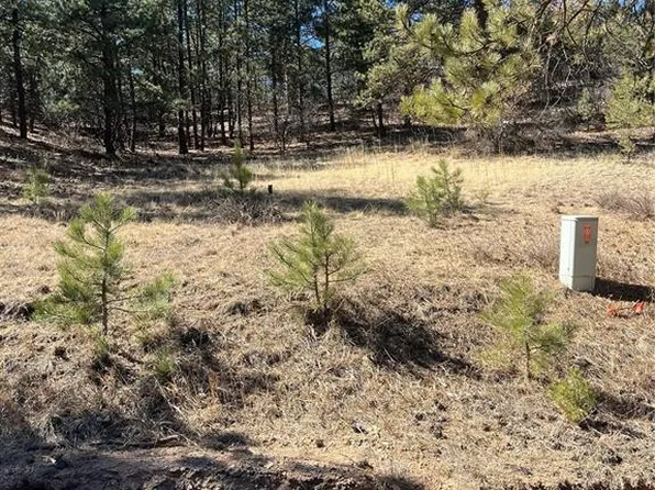 1777 Buttonwood Rd, Canon City, CO 81212