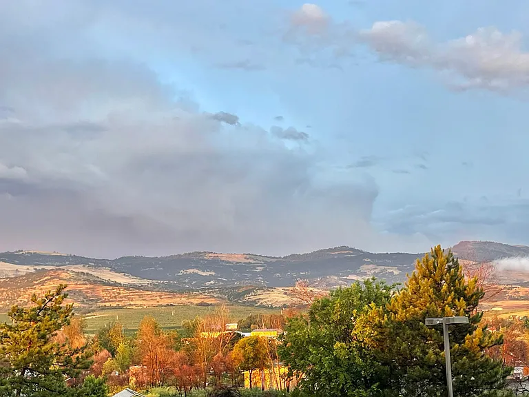 vineyard and orchard views