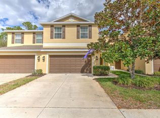 20223 Indian Rosewood Dr, Tampa, FL 33647