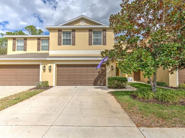 20223 Indian Rosewood Dr, Tampa, FL 33647