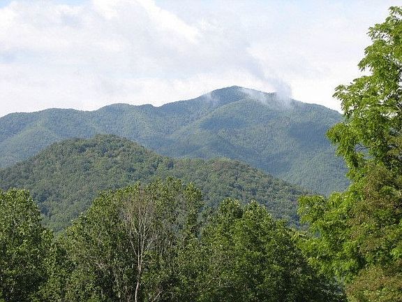 Cold Mtn. from deck.