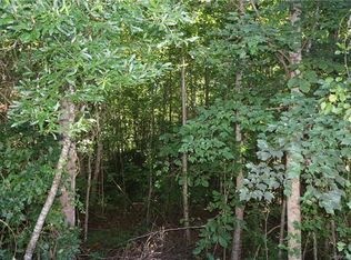 0 Palomino Trl, Rutherfordton, NC 28139