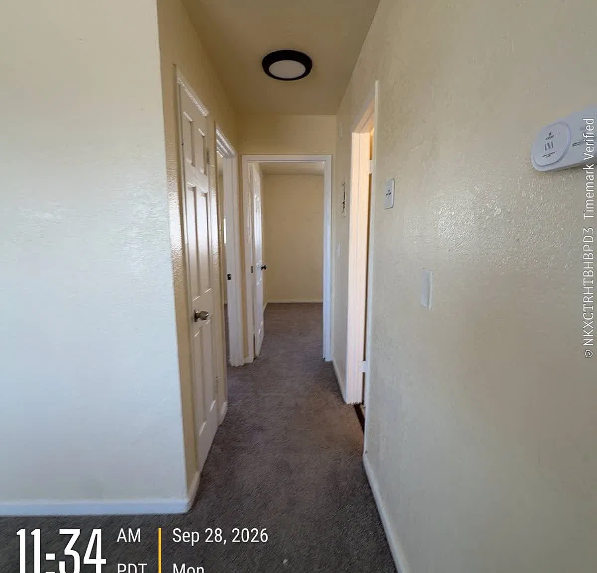 2 bed, $1,095 — Photo 2