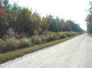 S James Rd, Baldwin, MI 49304