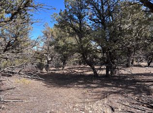 Unit 1 Tract #117, Tierra Amarilla, NM 87575