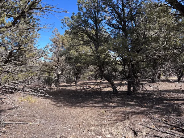 Unit 1 Tract #117, Tierra Amarilla, NM 87575