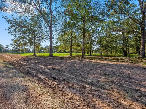 6087 Alans Memorial Ln, New Waverly, TX 77358