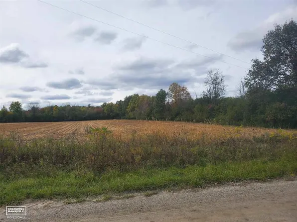 Jorden Ville Parc B Rd, Yale, MI 48097