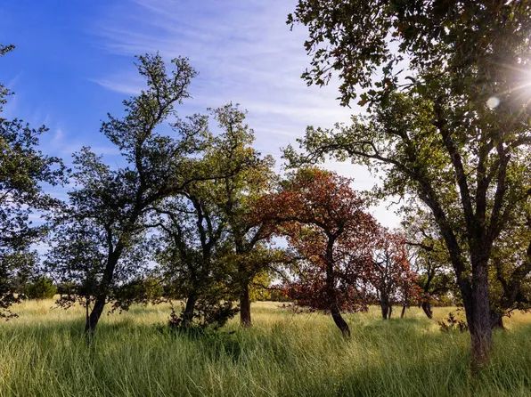 0 Gretchen Grove Ln, Fredericksburg, TX 78624