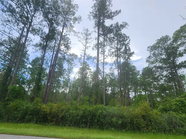 213 Georgetown Denver Rd, Georgetown, FL 32139