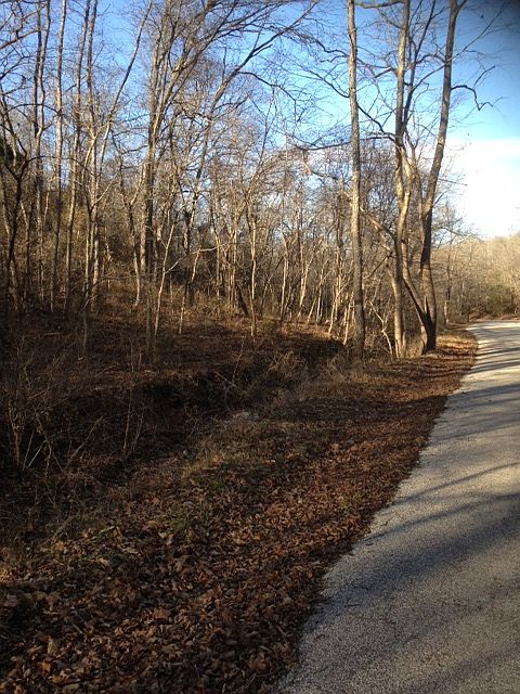 1/2 mile+ road frontage