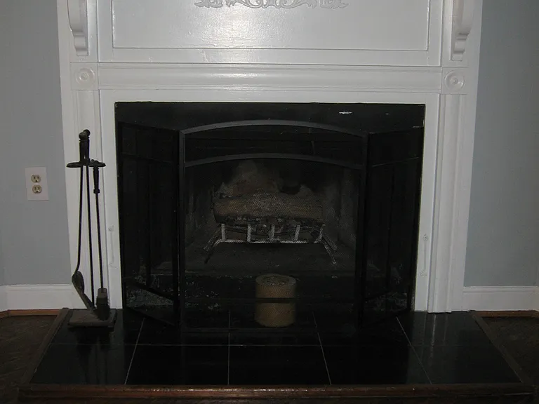 Wood burning fireplace
