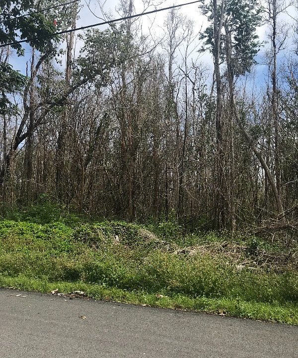 2nd image of Malama St