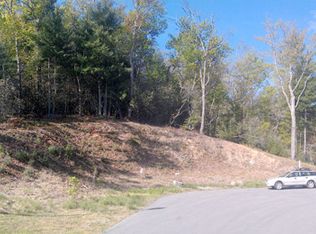 386 Scarlet Tanager Ct, Arden, NC 28704