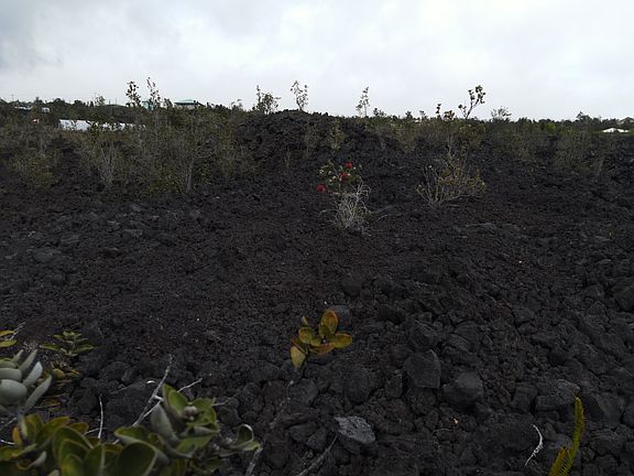 2nd image of Lot 23