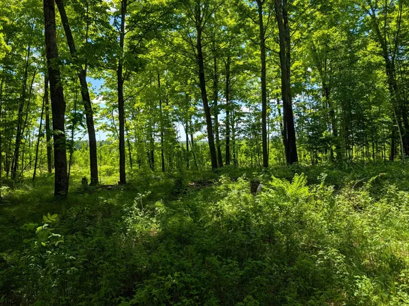 Off Bare Acres Ln, Phillips, WI 54555