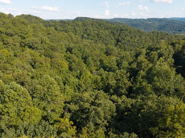 32.38 Ac Off, Sneedville, TN 37869