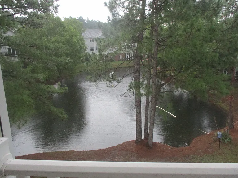 4845 Meadowsweet Dr #1412 — Photo 13