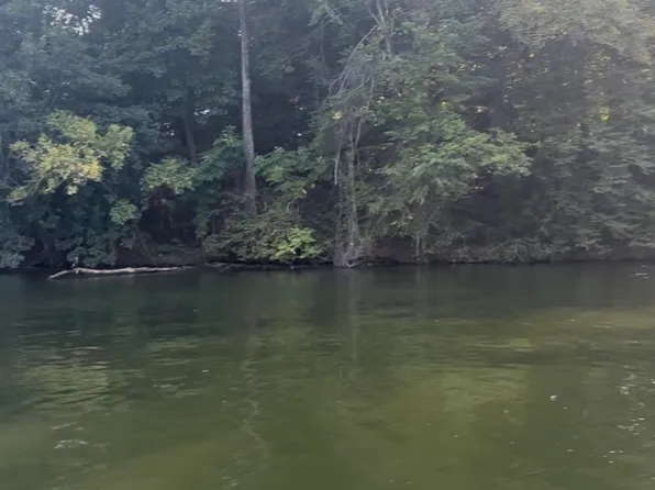 951 Turtle Cove Rd, Killen, AL 35645