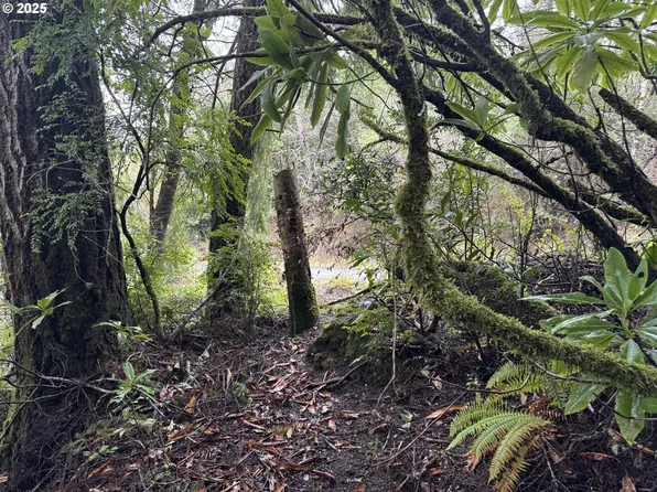 1 Petitt Ln, North Bend, OR 97459