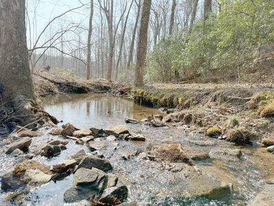 1065 Deerhead Rd, Dunlap, TN, 37327