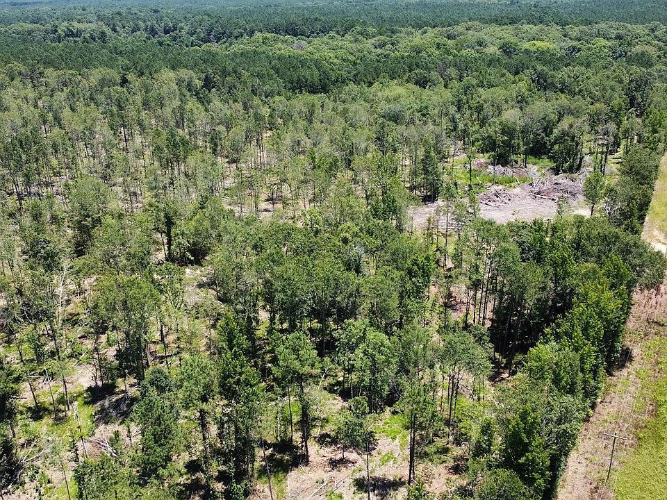 2nd image of Center 16.9 Ac On Hwy #82-E