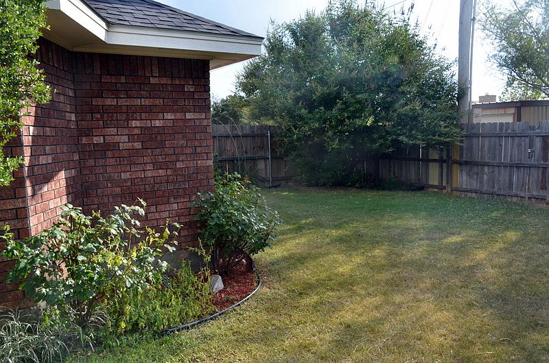 Fenced backyard
