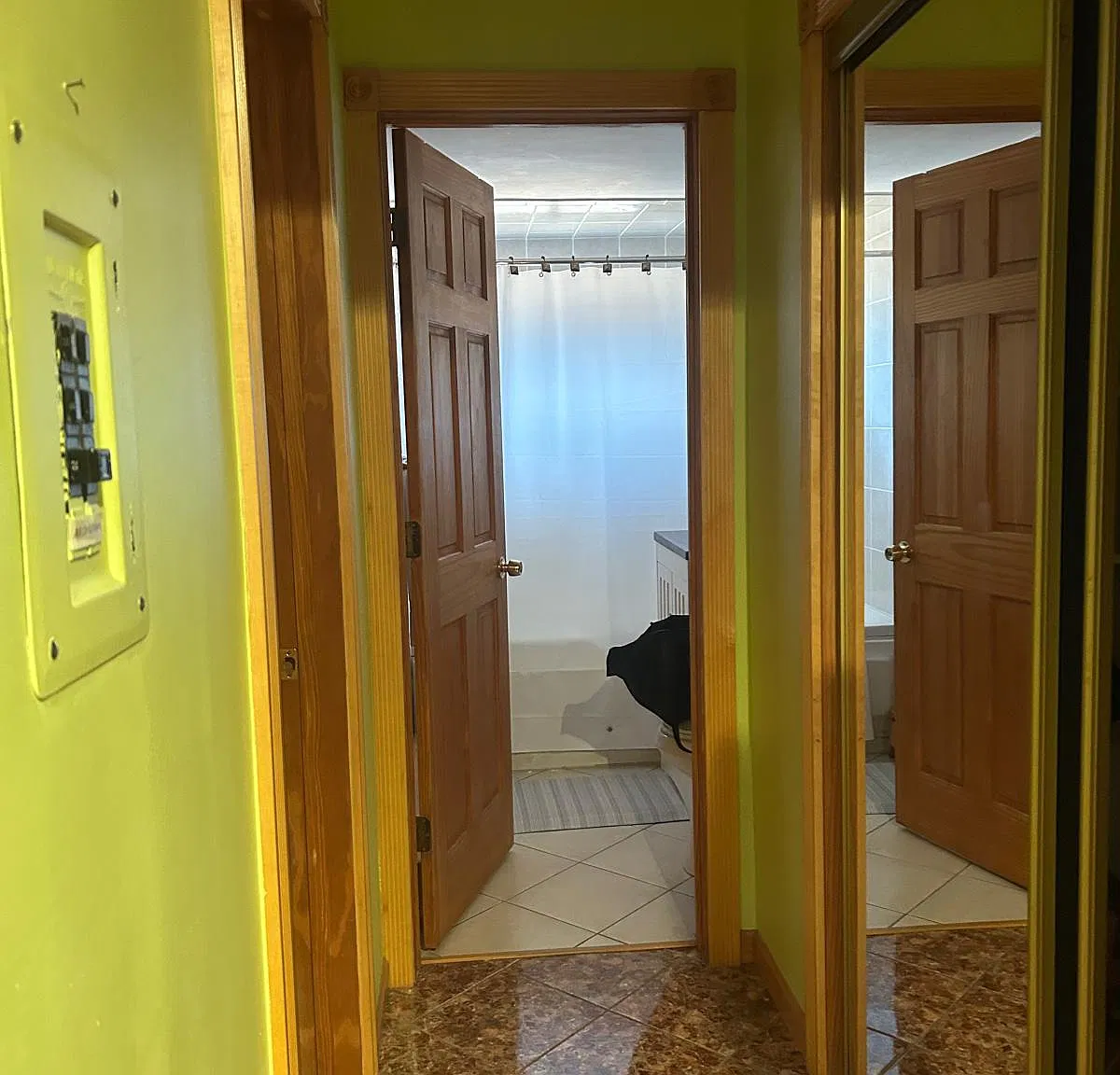 1 bed, 850 sqft, $1,550 — Photo 4