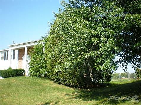 24 Toledo Ln 08046 001