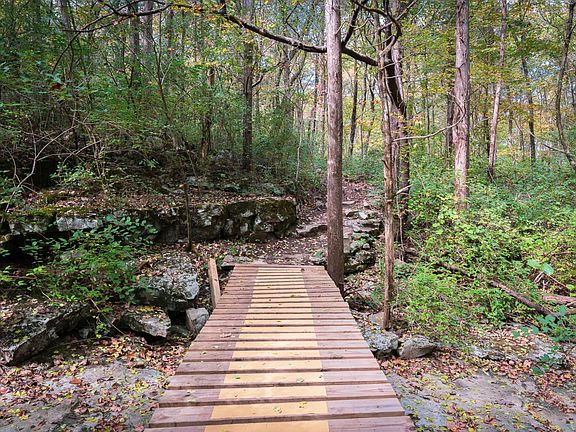 Launch-production-and-design-7 1