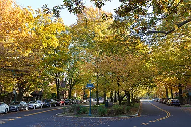 Rented by R New York