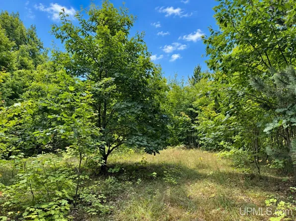 A Obenhoff Rd, Atlantic Mine, MI 49905