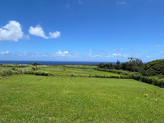 4th image of 2865 Hana Hwy