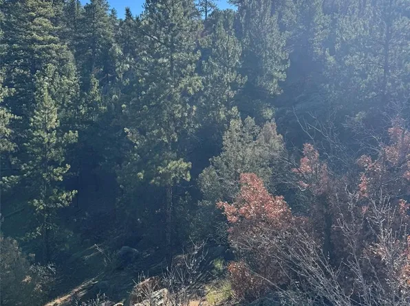 TR-1 G Path, Cotopaxi, CO 81223