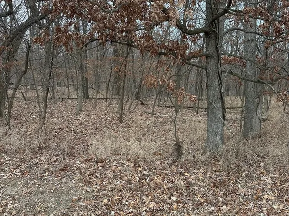 LOT 24 Eagle Chase Dr, Marseilles, IL 61341