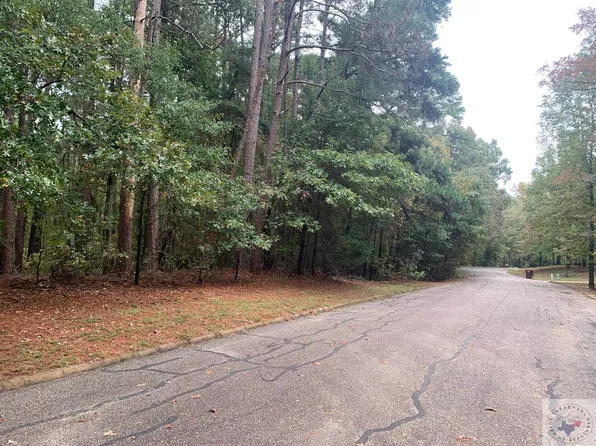 Woodland Lake Dr, Atlanta, TX 75551